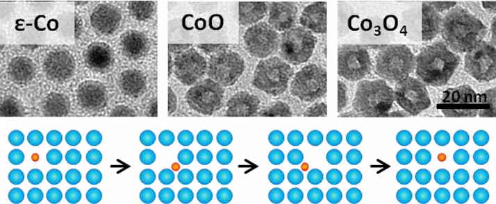 Graphical abstract for colloidal Au–Co–Fe nanoparticles publication