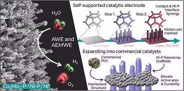 Graphical abstract for Ni–P Nanoarray Scaffolds publication
