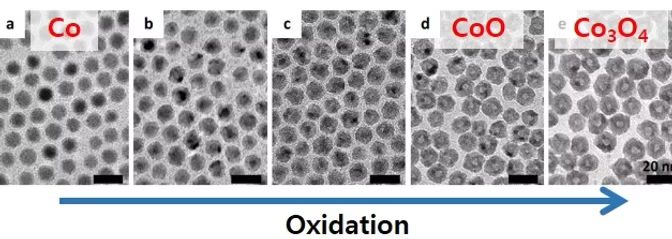Oxidation sequence from cobalt nanoparticles to cobalt oxide nanomaterials