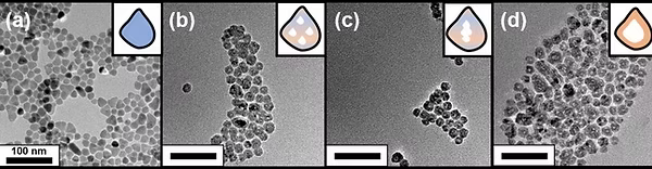 Transmission electron microscopy series showing nanoparticle morphology changes