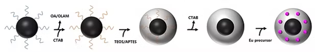 Schematic illustration of post-synthetic nanoparticle surface transformation